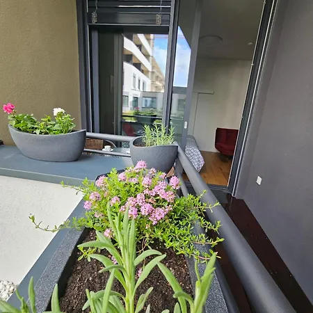 Apartment Studio Green *