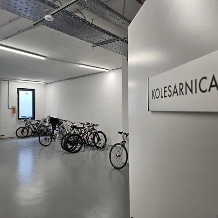Studio Green *